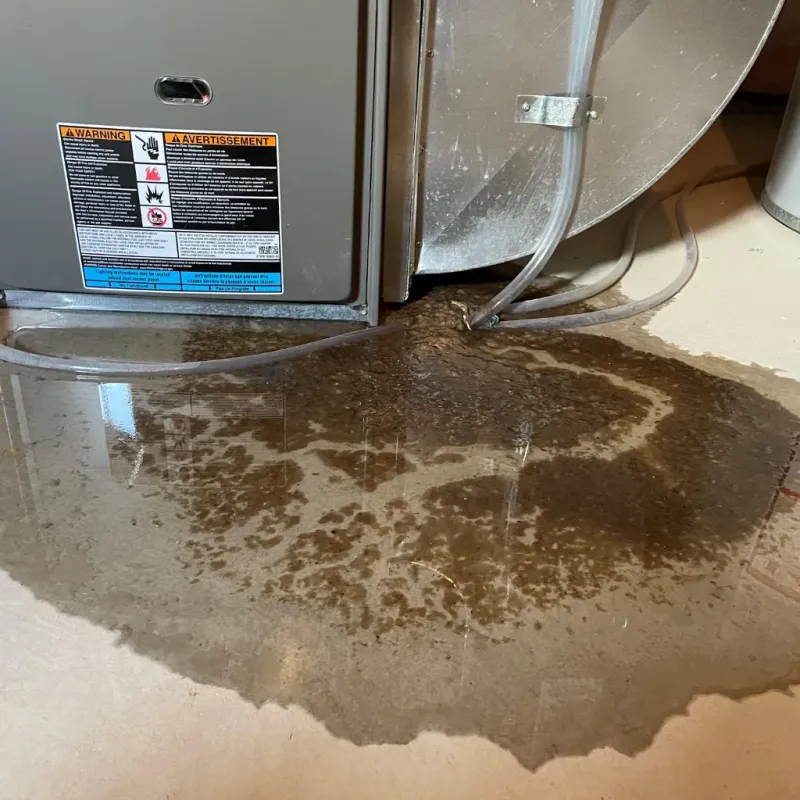 Appliance Leak Cleanup in Rigby, ID